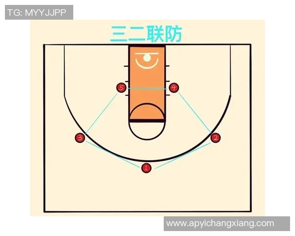 深入分析上海篮球队防守策略与战术特点的专业解读