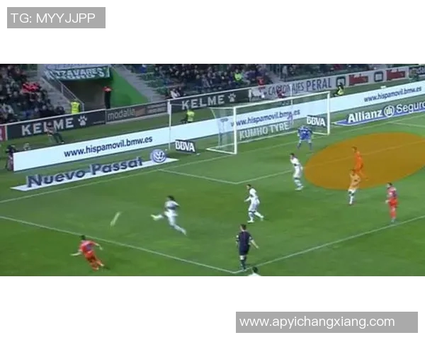 深圳排球队防守革新之路探索与实践全景解析 深圳排球队防守革新之路探索与实践全景解析