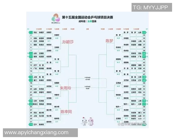 南京乒乓球队灵活性排名第四引发关注展现出强大实力与潜力
