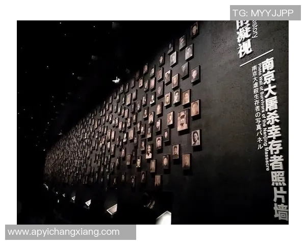 南京排球队逆袭之路揭秘：从默默无闻到奥运舞台的辉煌历程